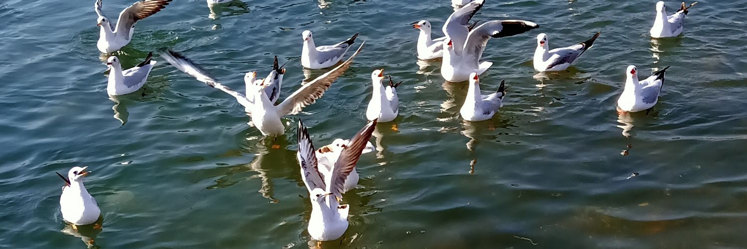 arpitpatel512's profile banner image