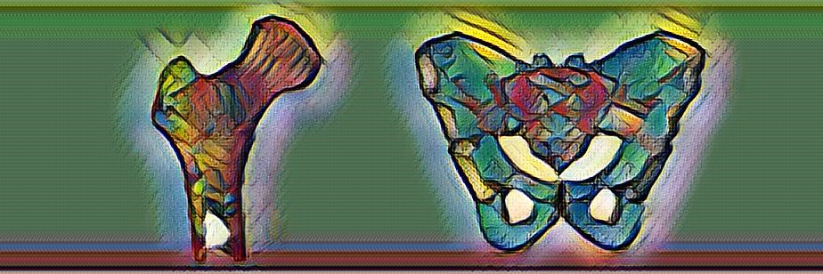 Luca Modenese banner