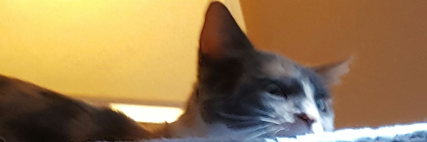 slicnic22's profile banner image