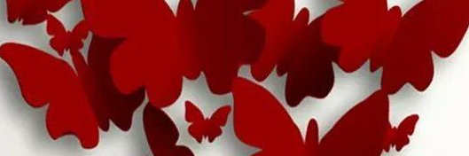RejanePaula12's profile banner image
