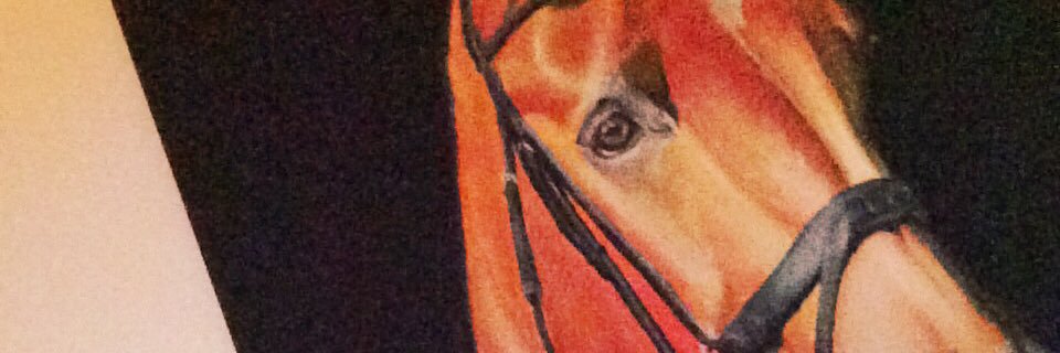 stephje22's profile banner image