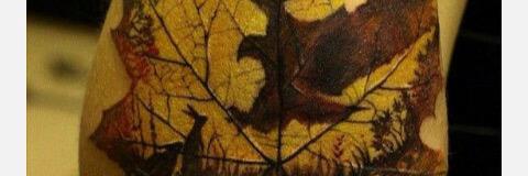 Kedacari's profile banner image