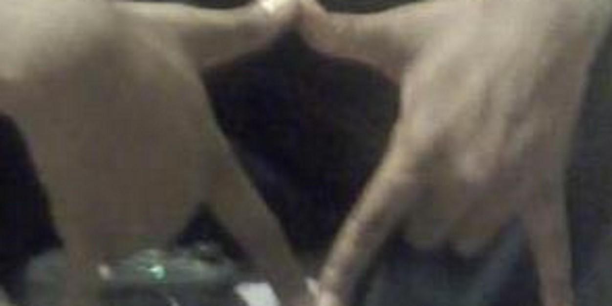 600GangMacc's profile banner image