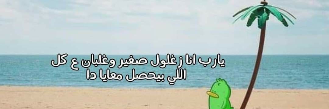 nNouraSayed's profile banner image