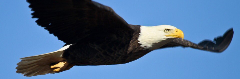 GerMeyer's profile banner image