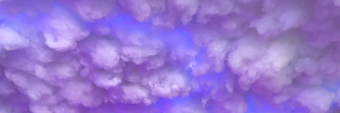 _BarbaraRodrig's profile banner image