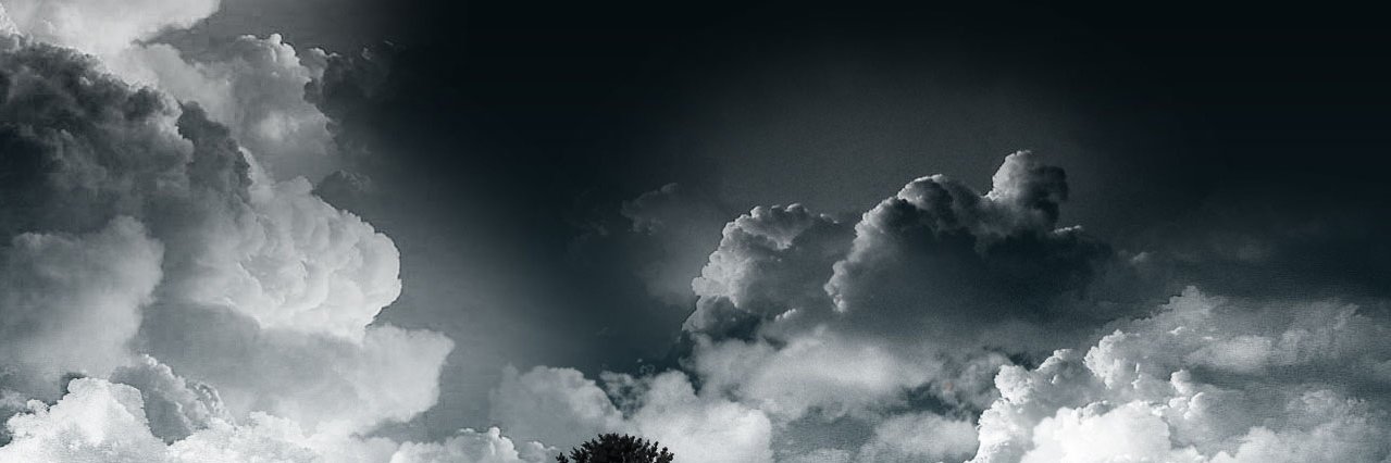 Marianne Wallace banner
