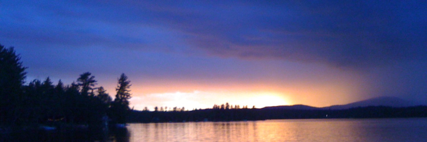 MaxMint Murph banner