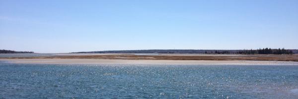 blimeycat Profile Banner