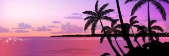 LandinManu's profile banner image