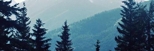 adventureseker's profile banner image