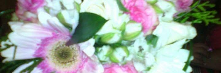 tatiysaray's profile banner image