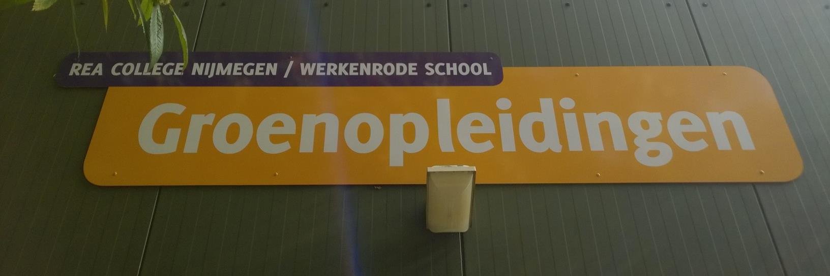 ReaCollegeGroen's profile banner image