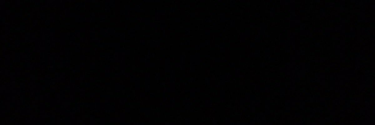 Lights, Camera, Blacktion banner