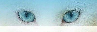 grecia2016's profile banner image