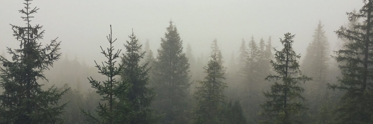 devjpem's profile banner image