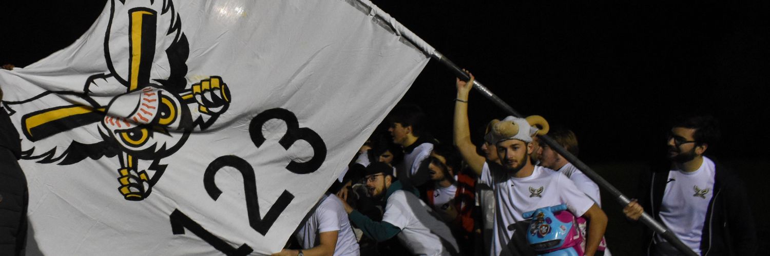 clemlemen's profile banner image
