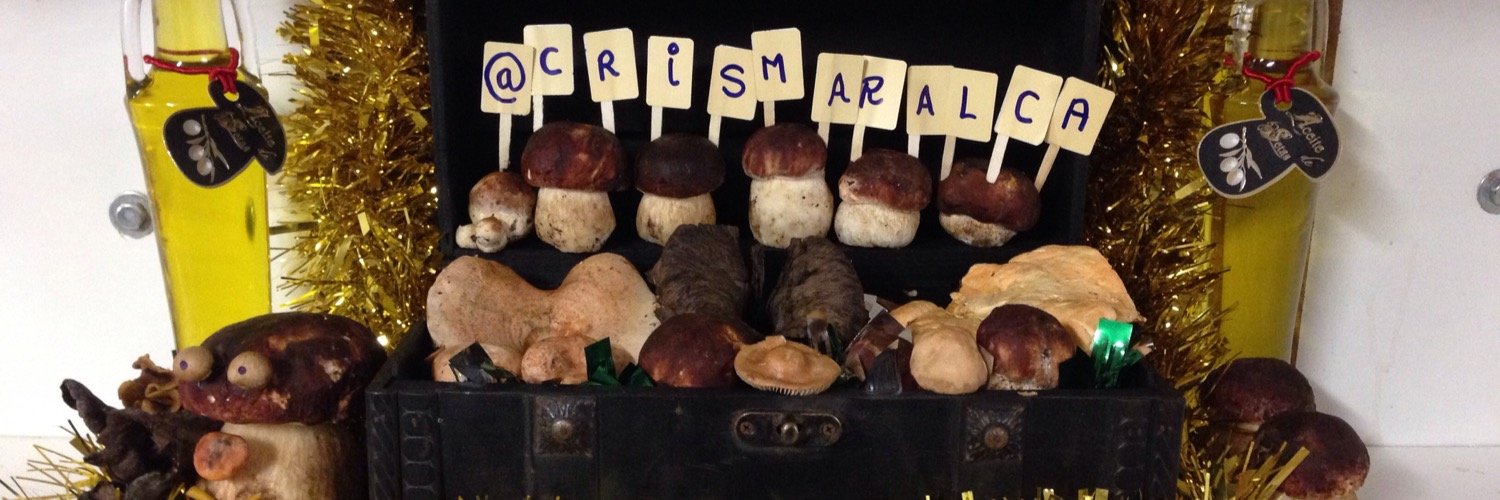CrisMarAlCa's profile banner image