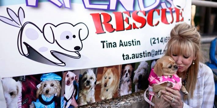 Cody'sFriendsRescue banner