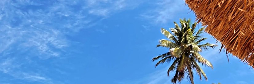 nataliiafer's profile banner image