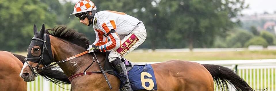 tarnbrookstud's profile banner image