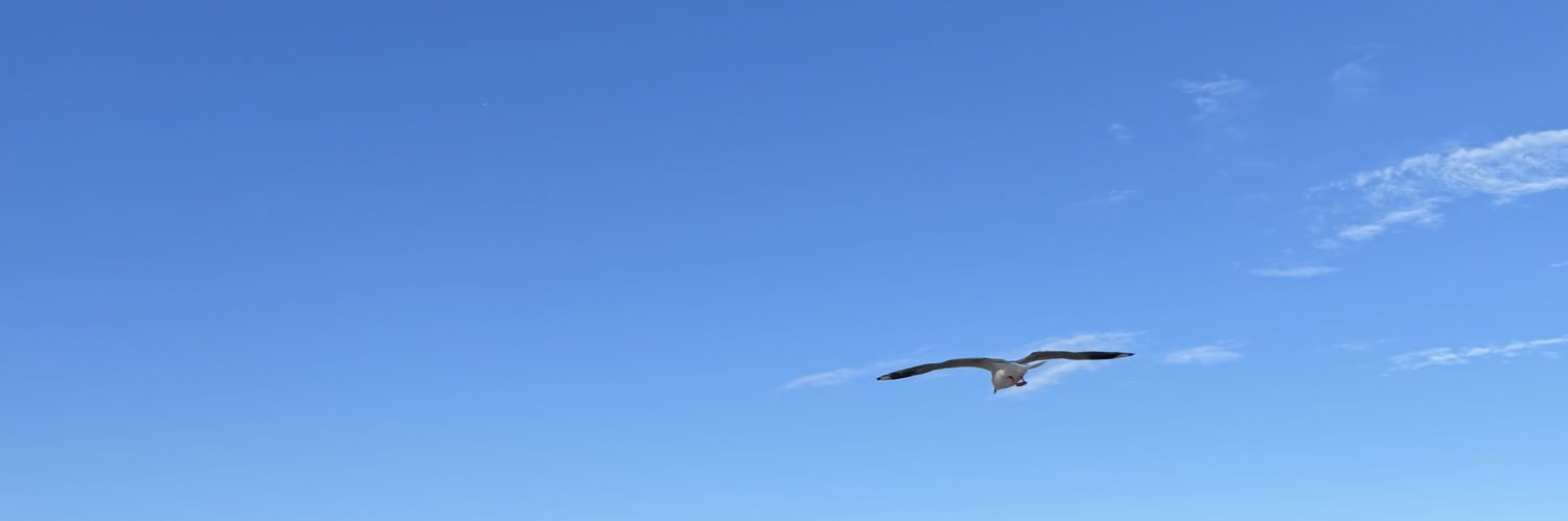 R banner