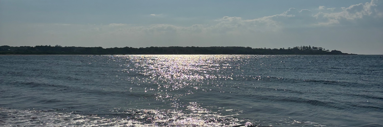 luuccigang's profile banner image