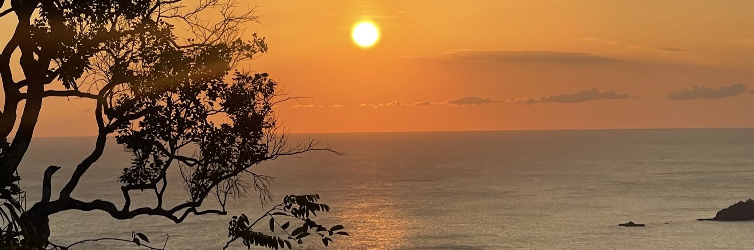 acponcedeleon's profile banner image