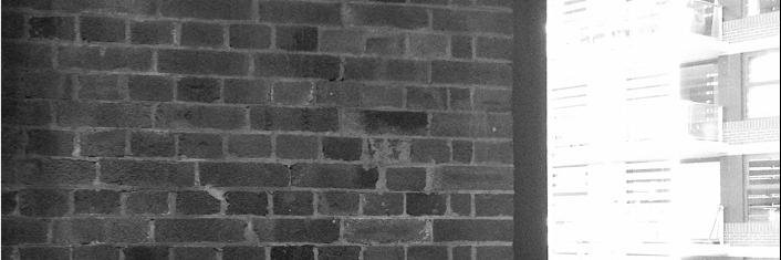 Karalee Evans banner