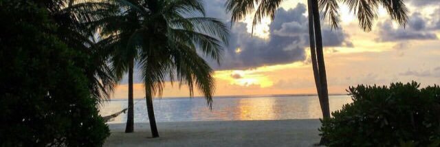 csahayam's profile banner image