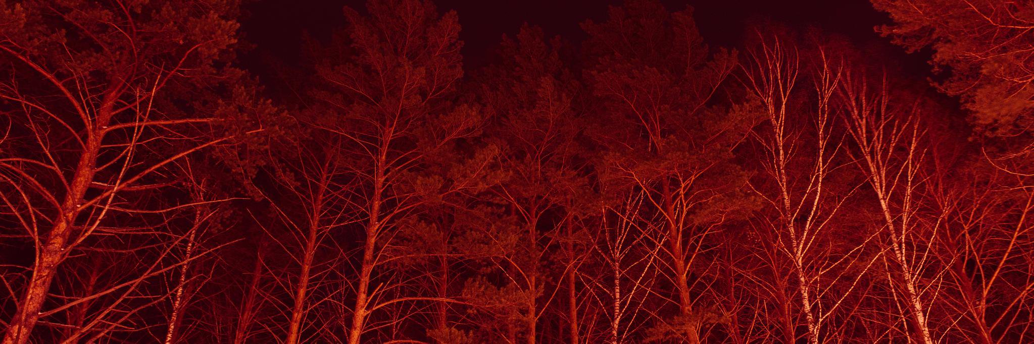 Greatmatis's profile banner image