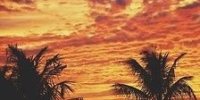 brooklynmendes's profile banner image