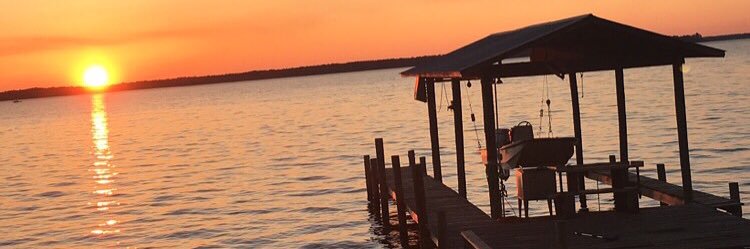 MasonMombi's profile banner image