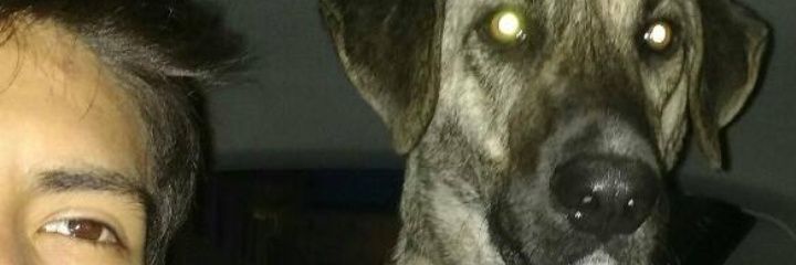 TheNach0's profile banner image