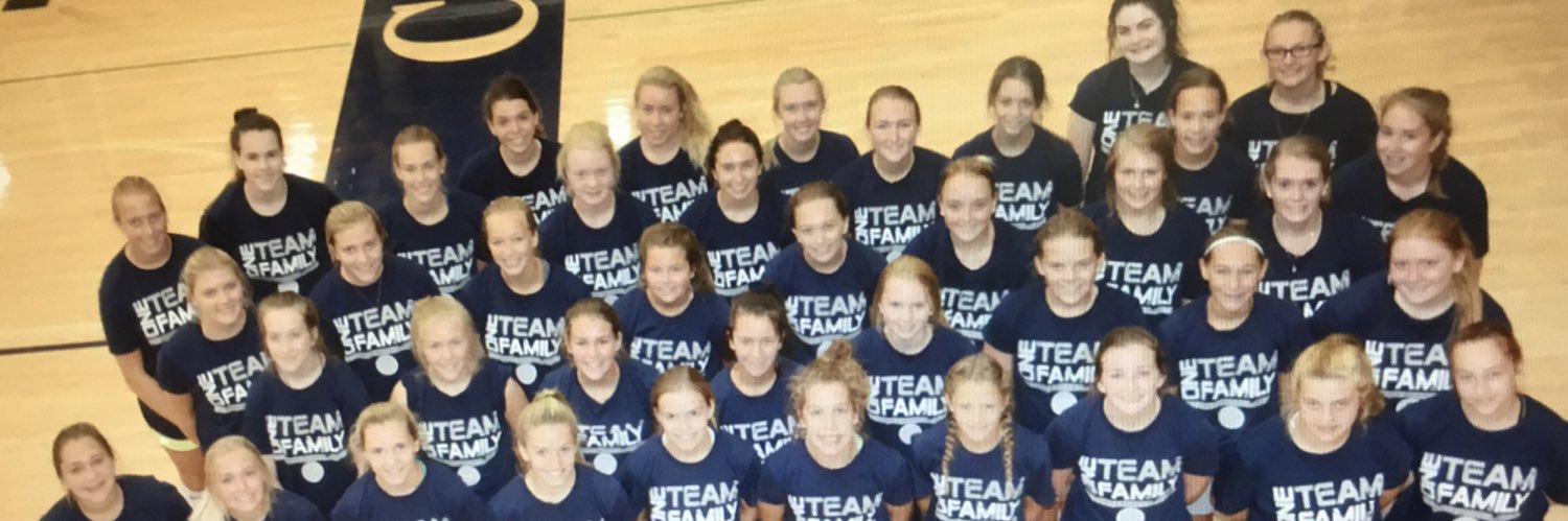 Cougar Volleyball banner