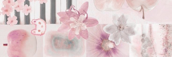 courtney banner