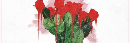 zLevity's profile banner image
