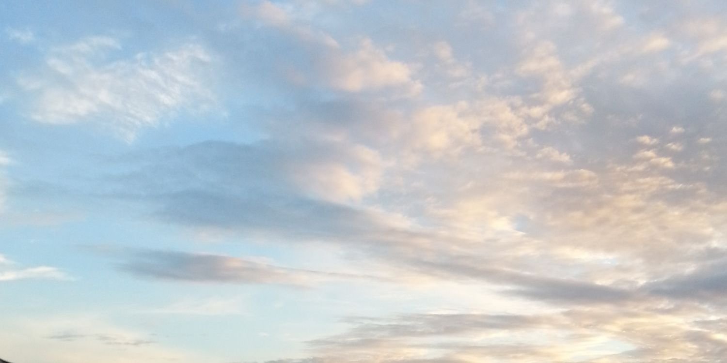moocowmoo09's profile banner image