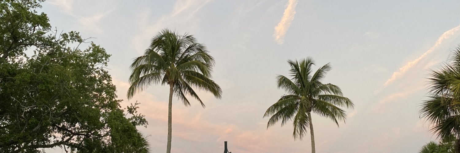 AlessioIsJellin's profile banner image