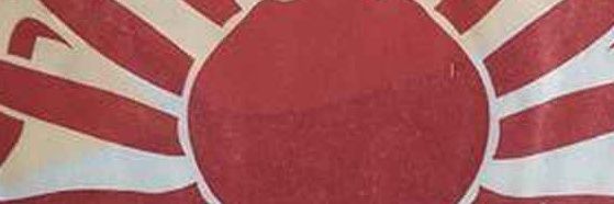 netoukyou's profile banner image