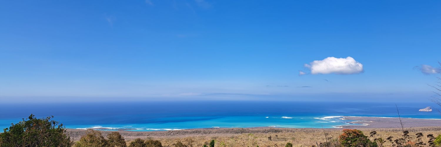 alesof08's profile banner image