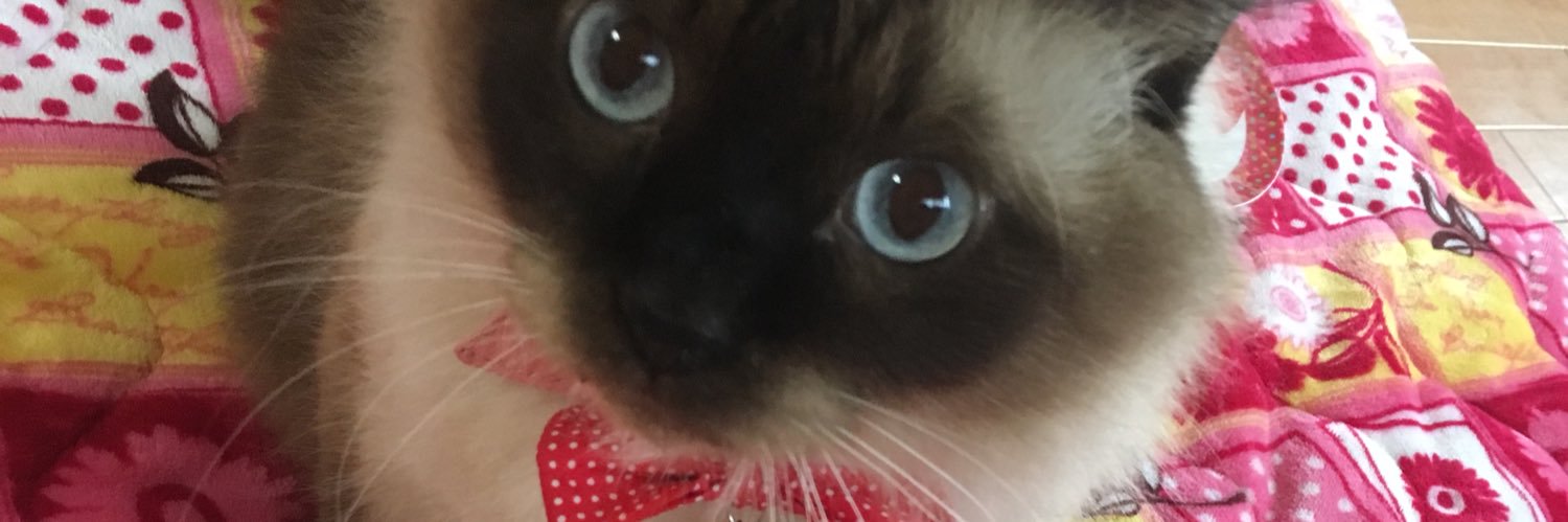 m_52k0g's profile banner image