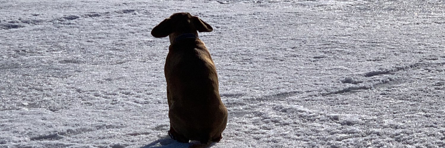 LoomisJerrett's profile banner image