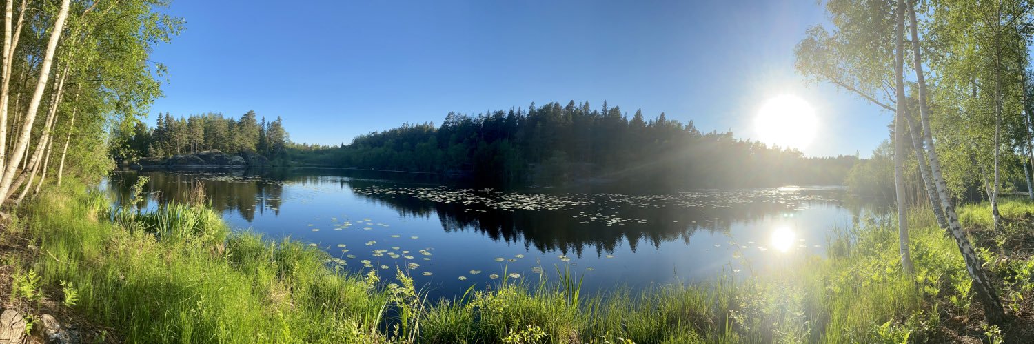 Sverker Hemring banner