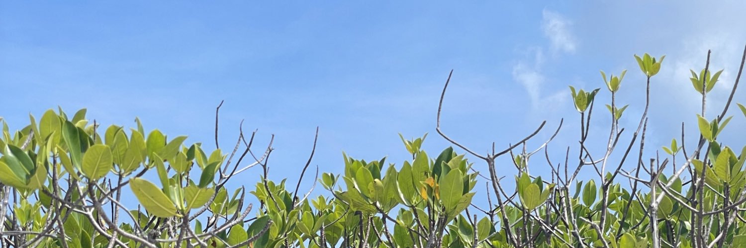 shaigarr's profile banner image