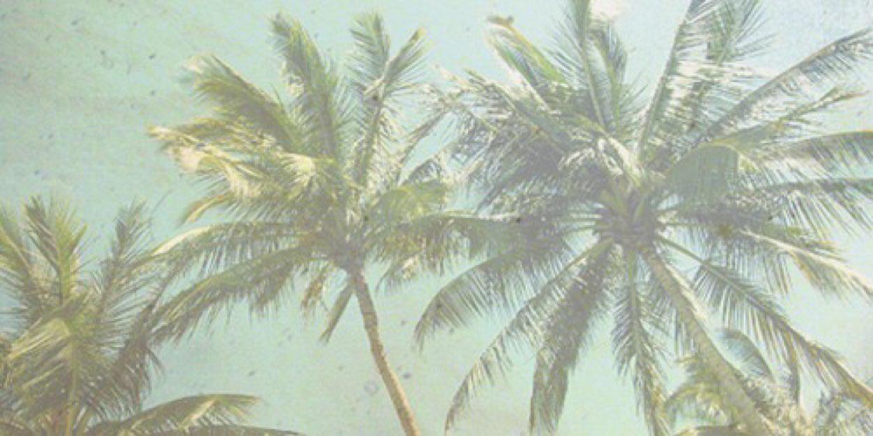 jamiedajani's profile banner image