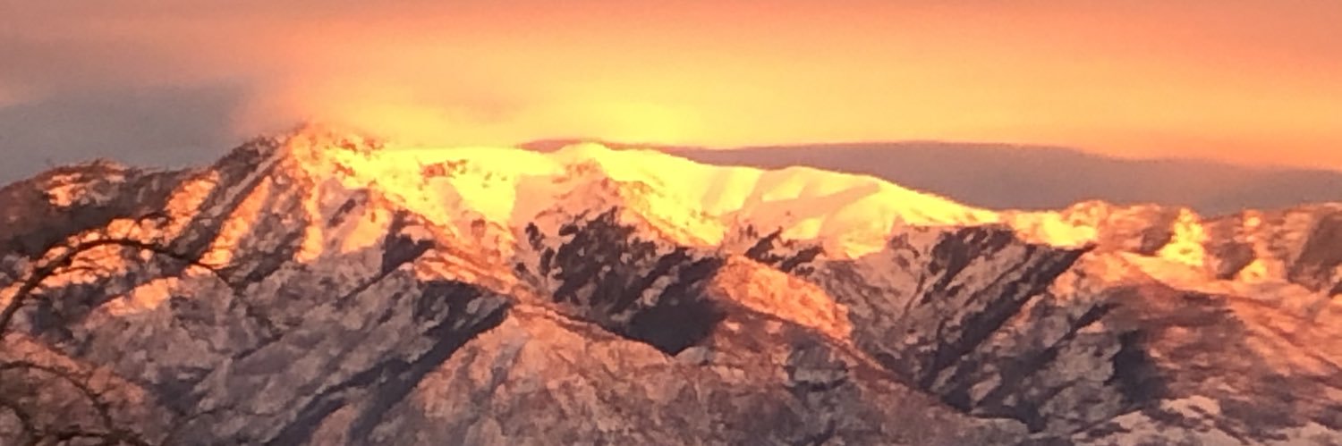 Aggie Rhoades 🇺🇦☘️👨🏼‍🌾🍀☕️🌗🌕🌓🖖 banner