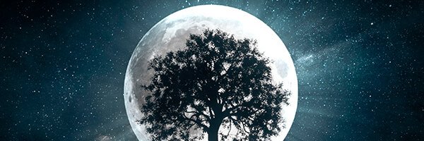 RaylanderS10's profile banner image