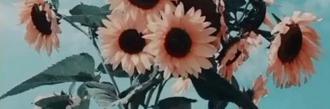 dxni_bee's profile banner image