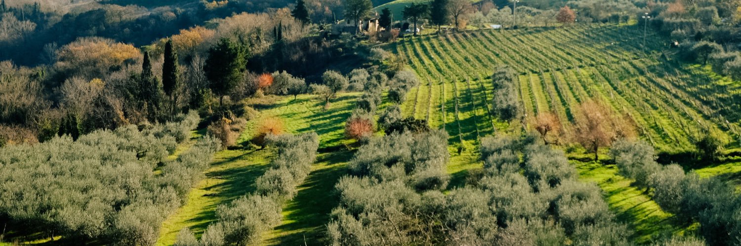 vinarivera's profile banner image